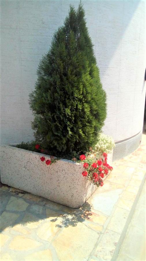 호텔 테흐노그라드 크랄레보 외부 사진